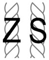 ZS_small.jpg